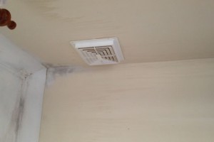 Damp Caused By Cavity Wall Insulation